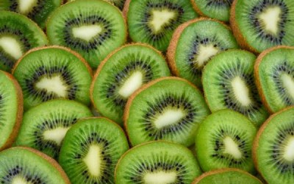 MRI technology aids leading NZ kiwifruit gastrointestinal motility study