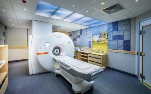 Groundbreaking MRI study investigates cannabis effects